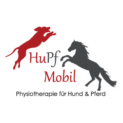 Mobile Physiotherapie für Hund und Pferd